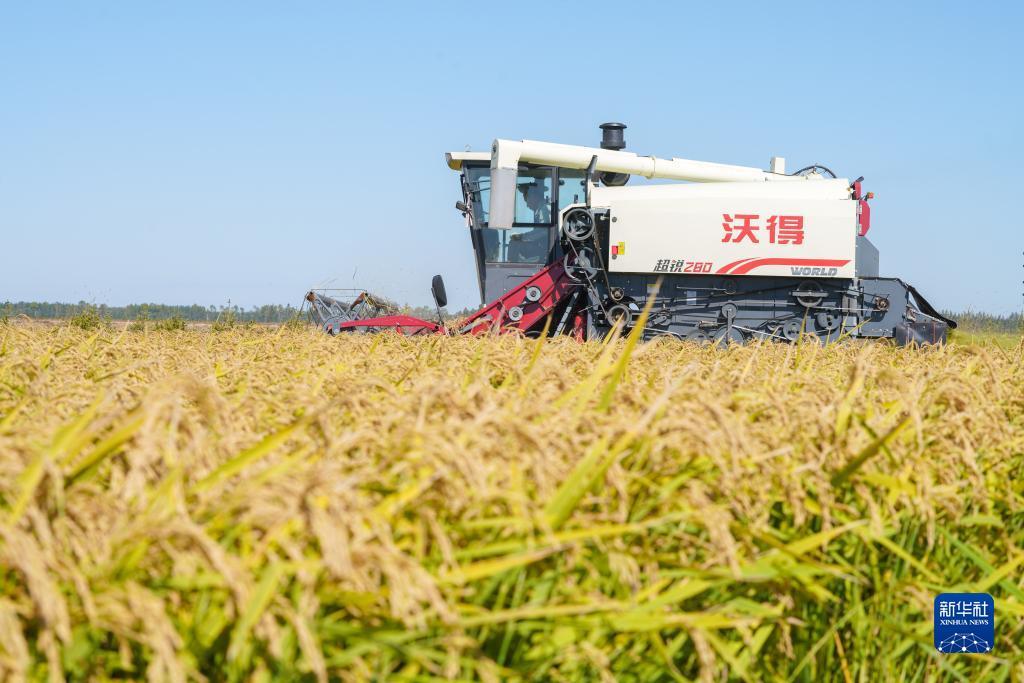 850打鱼破解